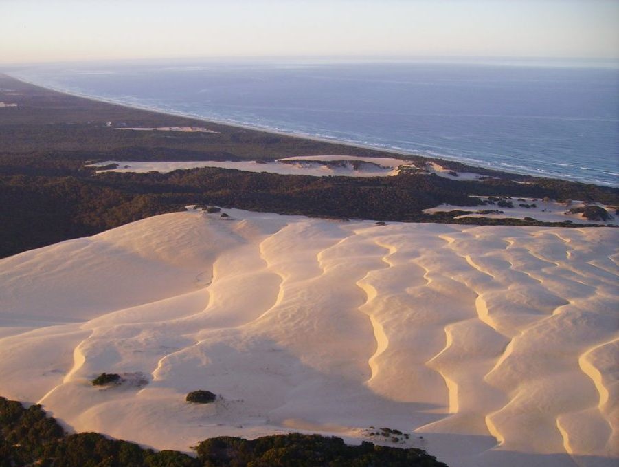 The sand blows on Fraser Island as photographed by microlight pilot David Lewis. The sand blows on Fraser Island as photographed by microlight pilot David Lewis.